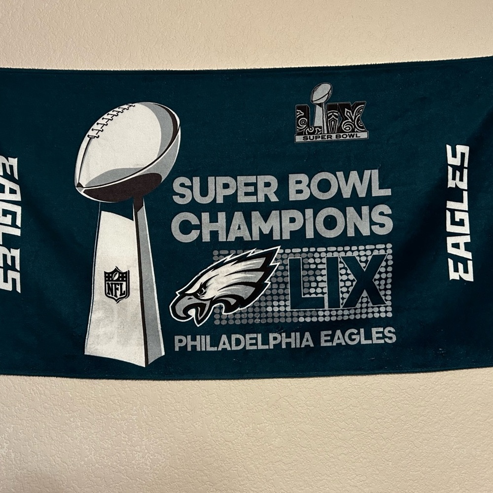Philadelphia Eagles Super Bowl Champions Banner